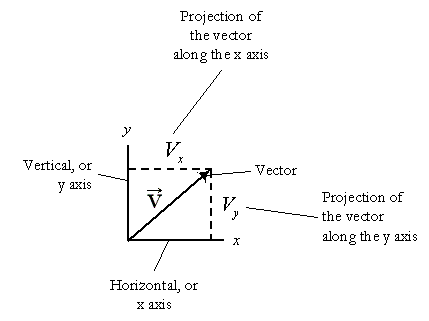 Vector Graph
