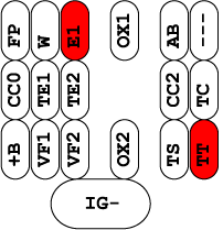 Diagnostic Block Terminals