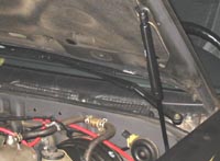 Installed Hood Struts